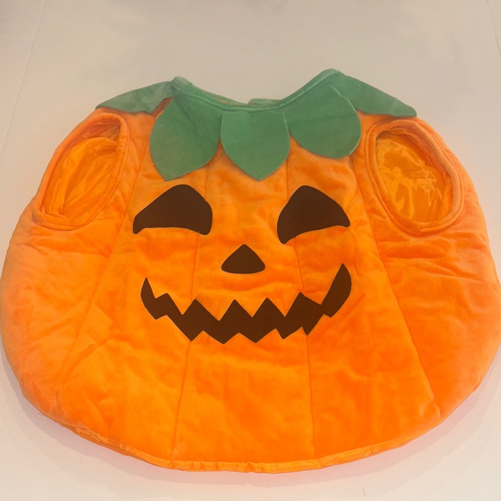 Zara Kids Halloween Pumpkin Costume - Vibrant Orange and Leafy Green